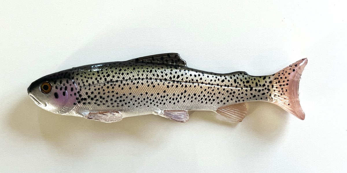 Soft Baits | Nate's Baits